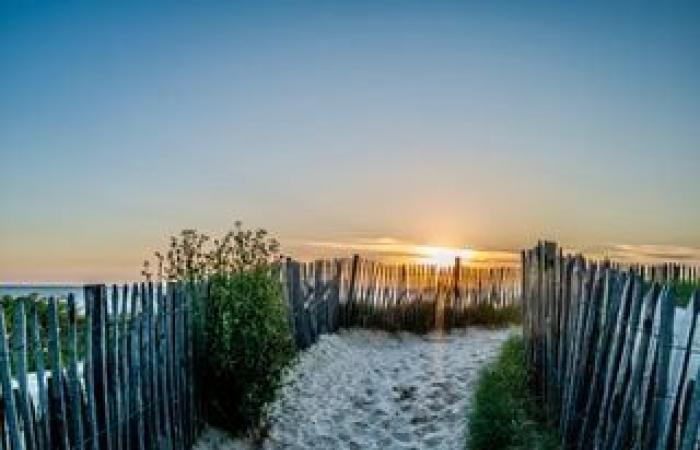 les brouillards et les nuages ​​bas vont-ils se dissiper ? Vers un retour du soleil ?