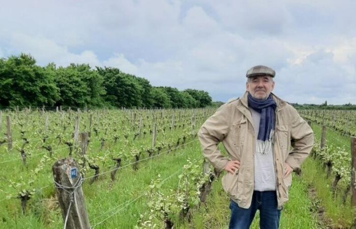 Mareau-aux-Prés celebrates books and wine