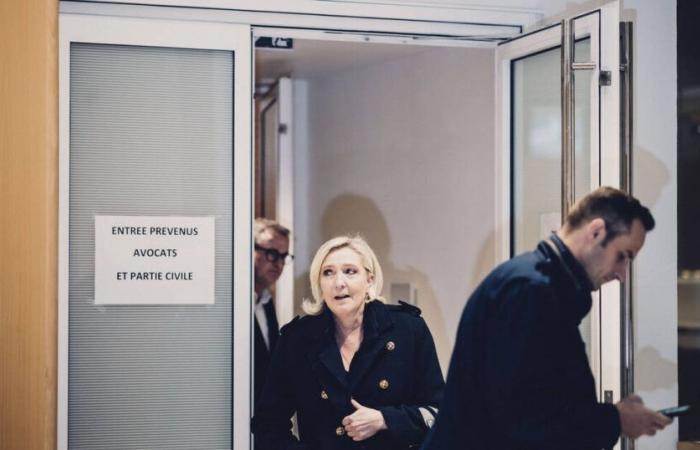 Quand Marine Le Pen dénonçait les partis qui « plongent dans les caisses » – Libération