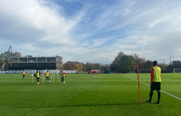 Steve Mandanda de retour à l’entraînement