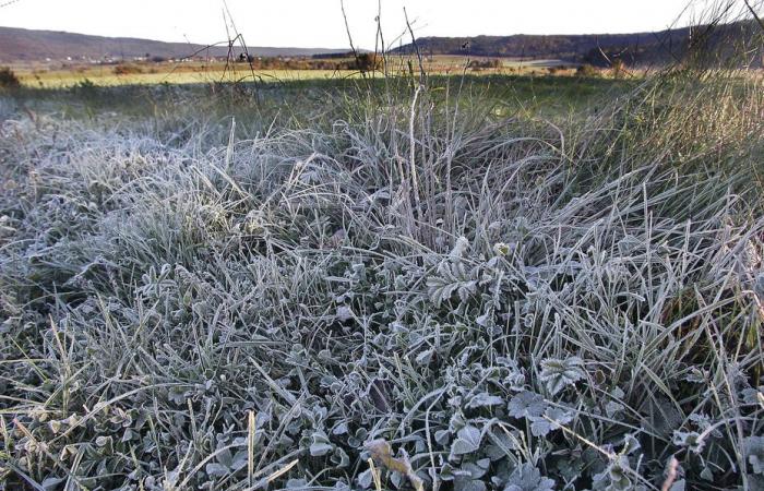 RAPPORT MÉTÉO. Bientôt la première neige de la saison ? Météo grise et vague de froid annoncées en Bourgogne