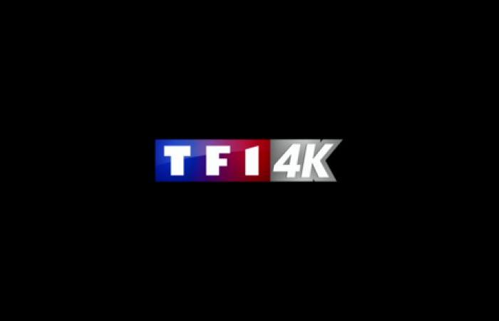 TF1 annonce de nouveaux contenus 4K qui seront disponibles en décembre sur Freebox Mini 4K, Pop, One, Delta et Ultra