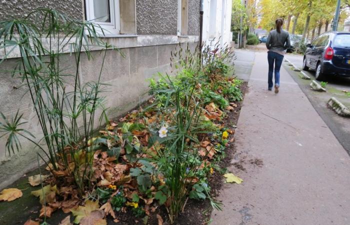 Une habitante de Rodez violée par un homme de 22 ans dans la rue