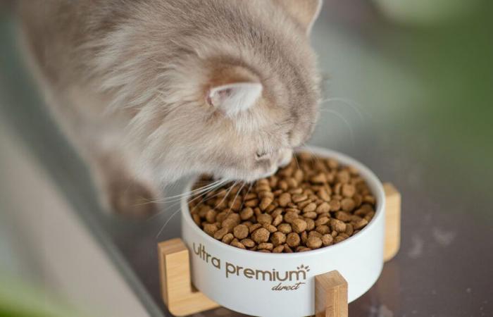 Ultra Premium Direct régale les chats stérilisés avec sa nouvelle recette de nuggets de poulet