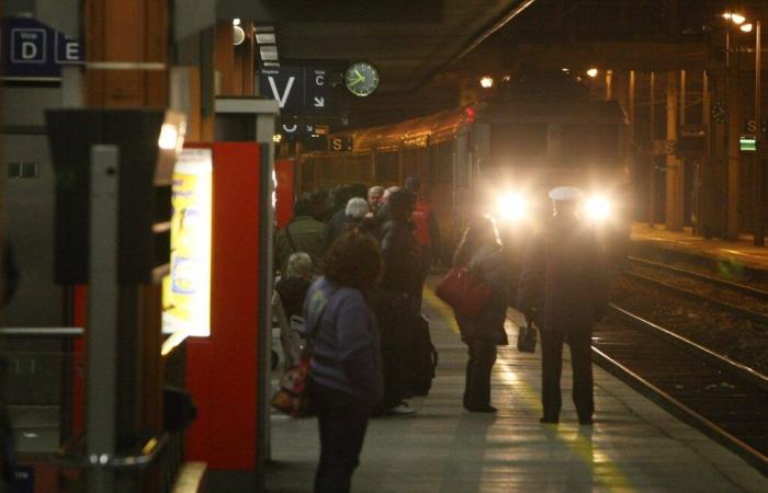 Comment la cavale de Lévis E., soupçonné d’être le “tueur de parpaings”, a été stoppée par une Toulonnaise à bord d’un train