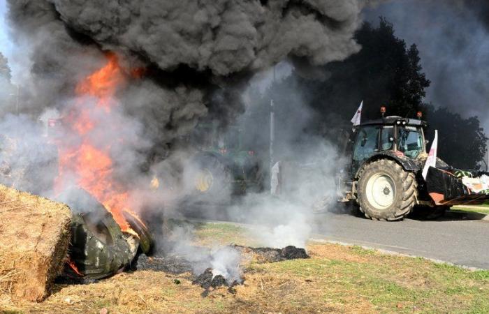 « Des incendies dans des lieux stratégiques mais loin des habitations », annonce la FDSEA 31