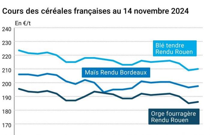 Céréales – Nouvelle baisse marquée des prix du blé coté au CBOT, bonne résistance sur Euronext