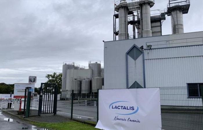 Lactalis et Unell augmentent le prix du lait pour 2025