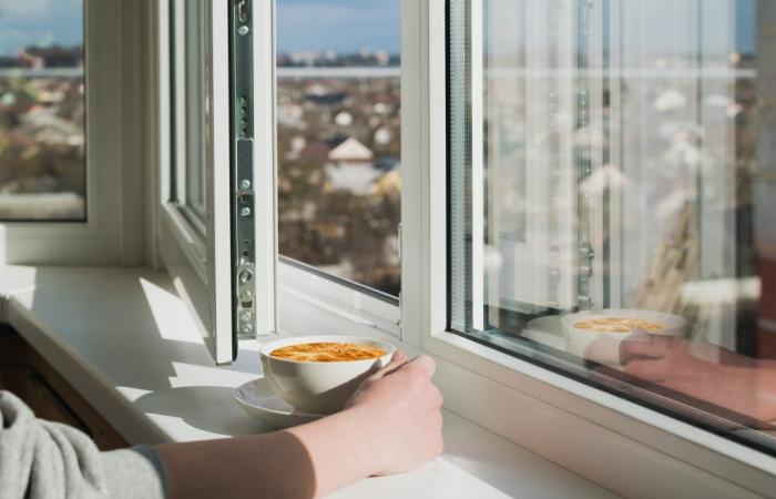 La Chicorée, la petite nouvelle du Nord du vendredi 15 novembre