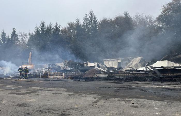 Premier producteur de sapins de Noël en France, son entrepôt est ravagé par un incendie : « tout a disparu »