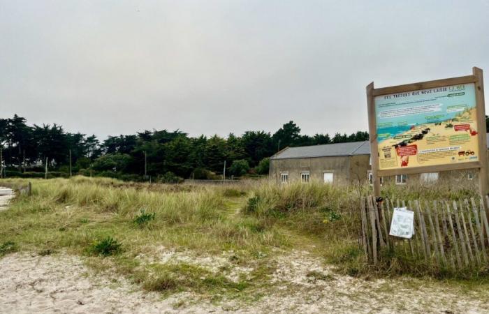 le fléau du vol des clôtures protégeant la dune dans cette station de Loire-Atlantique