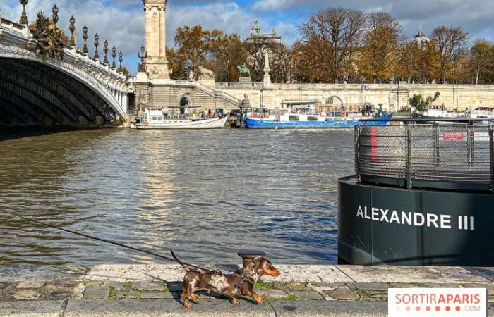 la balade des teckels revient dans la capitale ce week-end !