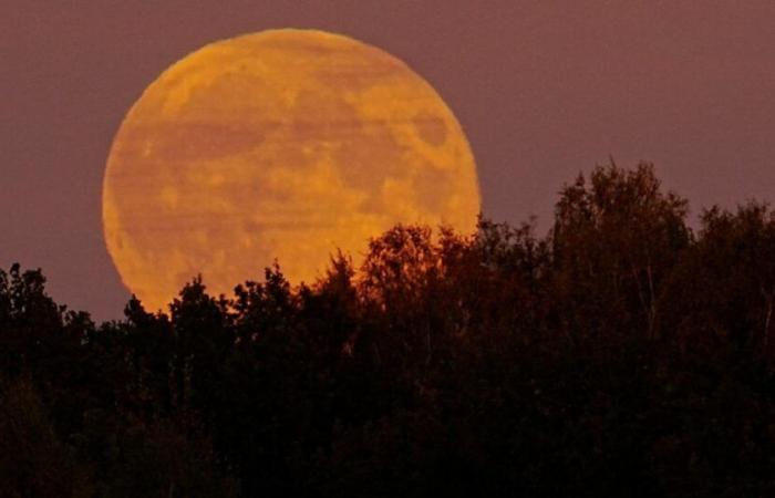 Quand admirer la super lune « castor » ce vendredi soir, et pourquoi porte-t-elle ce nom ?