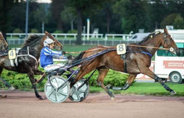 Pronostic gratuit du PRIX DE LA POURRAQUE