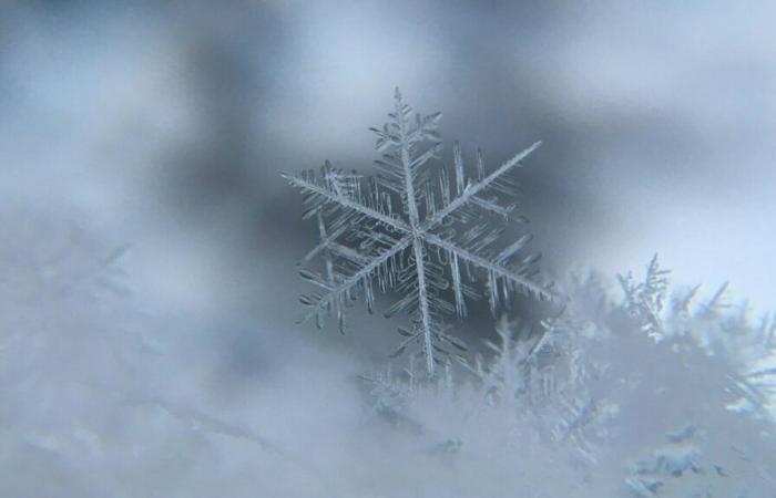 Neige dès la semaine prochaine au Luxembourg