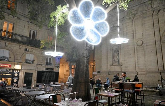 découvrez nos cinq illuminations préférées à Montpellier