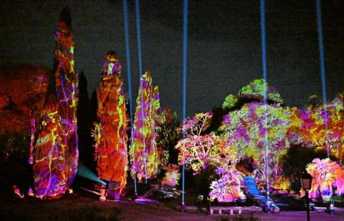 découvrez nos cinq illuminations préférées à Montpellier