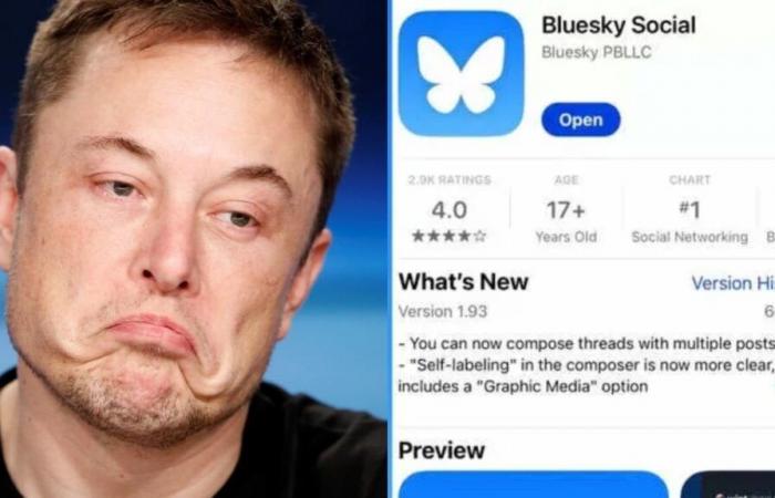 Bluesky s’écrase alors que X d’Elon Musk fait face à l’exode, avec Hollywood en train de changer ; Elton John, Whoopi Goldberg…