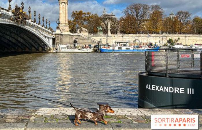 la balade des teckels revient dans la capitale ce week-end !