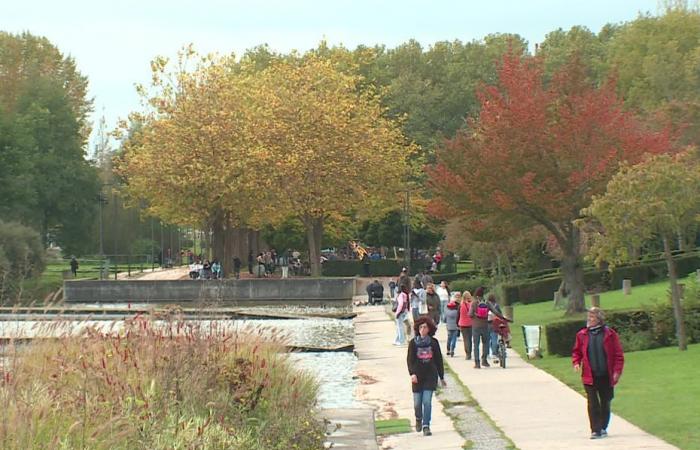 Bulletin météo. Quel temps fait-il ce vendredi 15 novembre dans les Hauts-de-France ?