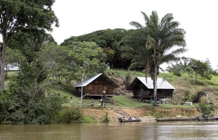 En Guyane, l’État se mobilise face aux conséquences d’une sécheresse « intense »