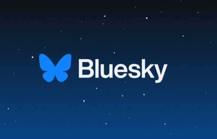 Bluesky poursuit son ascension fulgurante avec plus d’un million d’utilisateurs supplémentaires en 24h