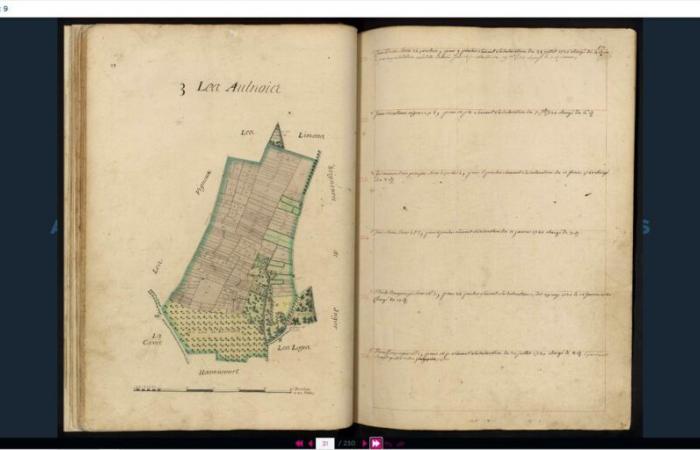 Les Archives des Yvelines mettent en ligne un nouveau terrier