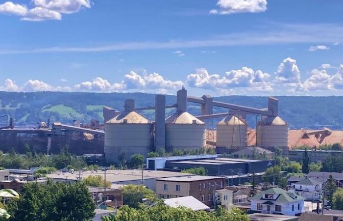 L’artiste Vicky Côté fustige Rio Tinto pour avoir refusé d’embellir ses silos à La Baie