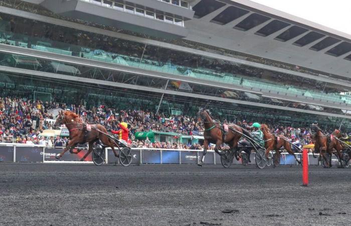 Dimanche à Vincennes : La course au parcmètre