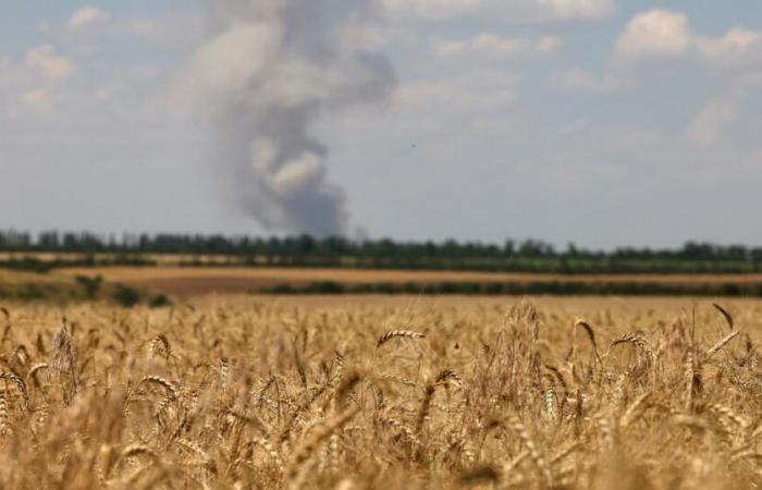 Des images satellite révèlent l’impact de la guerre sur la production céréalière ukrainienne