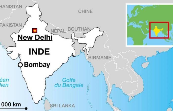 Dix nouveau-nés meurent dans l’incendie d’un hôpital en Inde