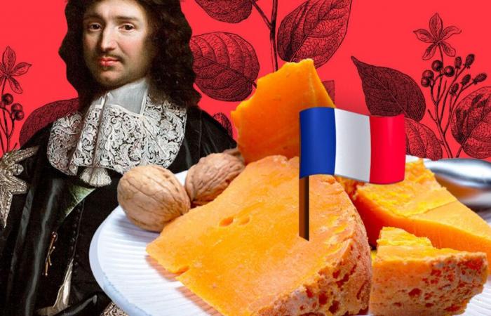 VIDÉO. Mais pourquoi la mimolette est-elle orange ?