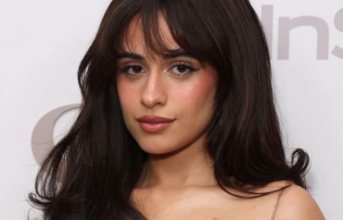 Camila Cabello prend une décision inattendue, ses fans ont le cœur brisé