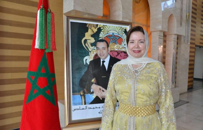 Naji Mekkaoui met en avant la démarche marocaine sous la conduite de SM le Roi