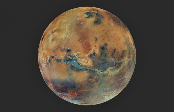 Une partie de Mars s’est détachée et est tombée sur Terre. Il a révélé un grand secret