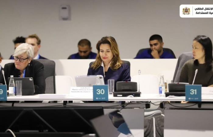 Maroc/COP29 : Rendre l’assurance climat plus accessible