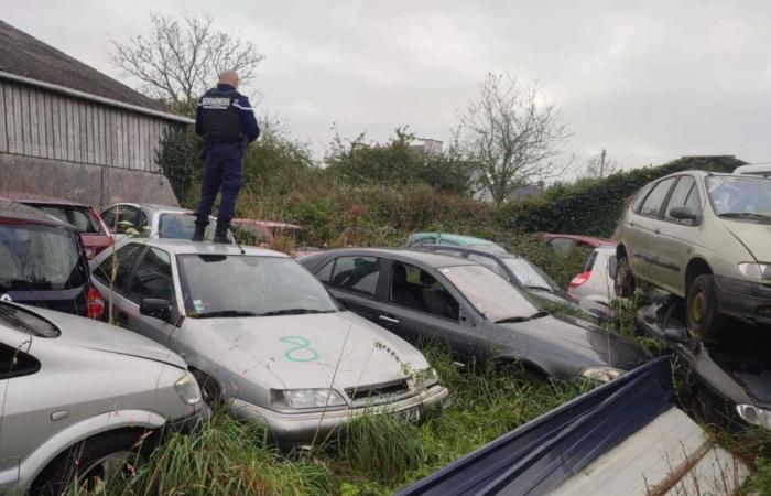 160 infractions constatées en six jours dans le Finistère