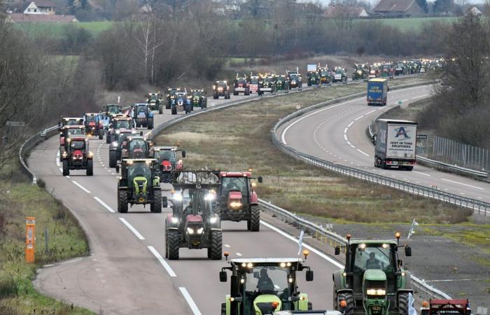 menacés par le Mercosur, où les agriculteurs de Franche-Comté vont-ils exprimer leur colère ?