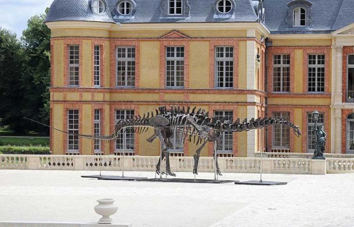 Notre-Dame retrouve sa Vierge, un chef-d’œuvre restauré de Rembrandt, un record en vue pour un dinosaure… les 5 infos à retenir cette semaine