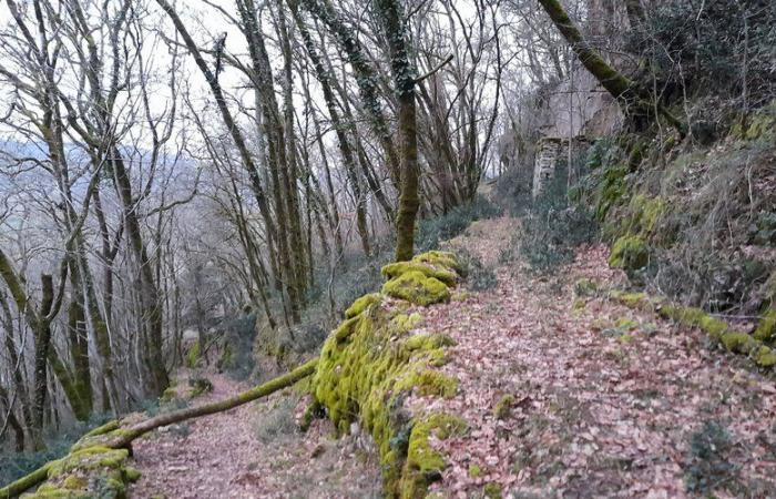 Vayrac. Téléthon : la randonnée du Puy d’Issolud