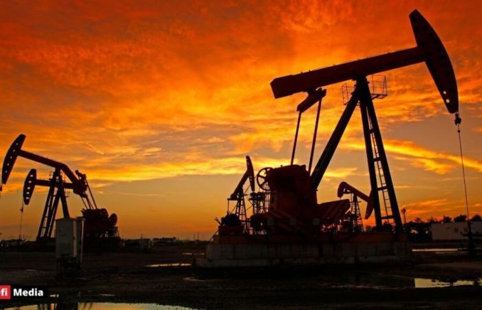 Excédent pétrolier mondial prévu pour 2025