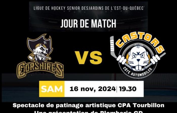 250e match dans la LHJMQ