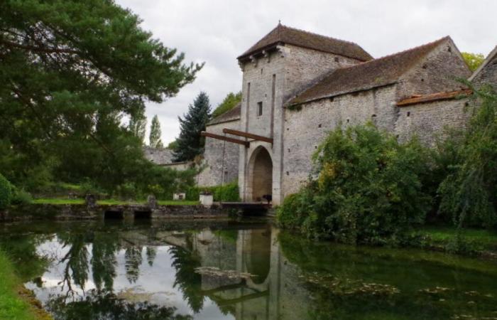 Exclusive. Florent Pagny could buy the Ferme du Fossé in Échevannes, in Côte-d’Or