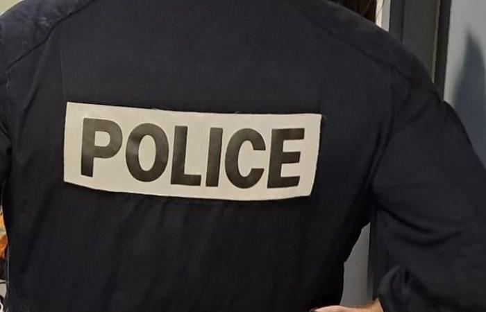 Un policier attaqué à coups de hachette est grièvement blessé