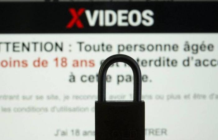 quatre sites commencent à être bloqués en France