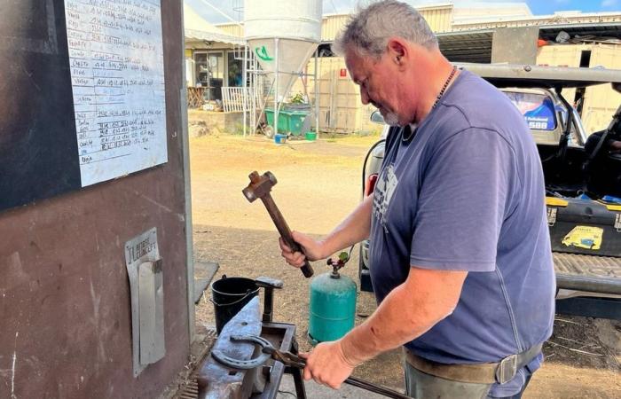 PORTRAIT. Eric Fontaine, maréchal-ferrant à La Réunion, exerce son art depuis près de 42 ans