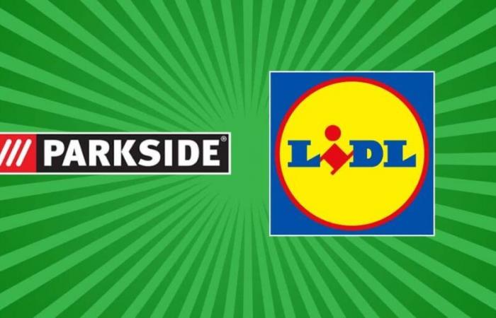 Lidl écrase les prix de son arrivée Parkisde en magasin dès lundi