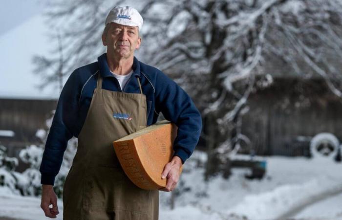 Les World Cheese Awards à Berne, une rampe de lancement internationale pour les fromagers suisses