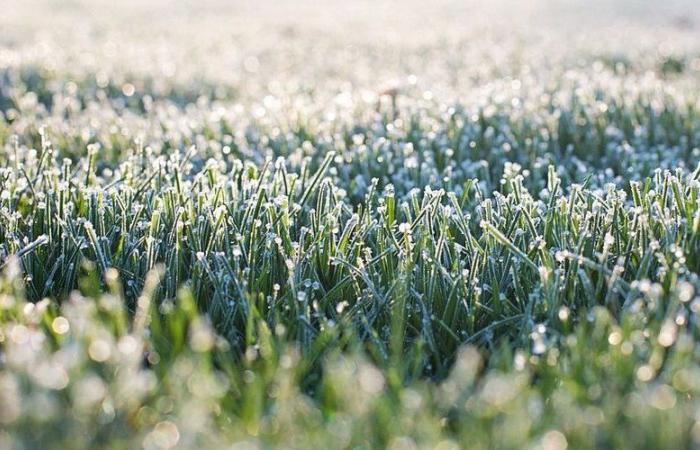 le thermomètre indiquait – 6,2°C en Aveyron ce vendredi matin, où a-t-il fait le plus froid ?