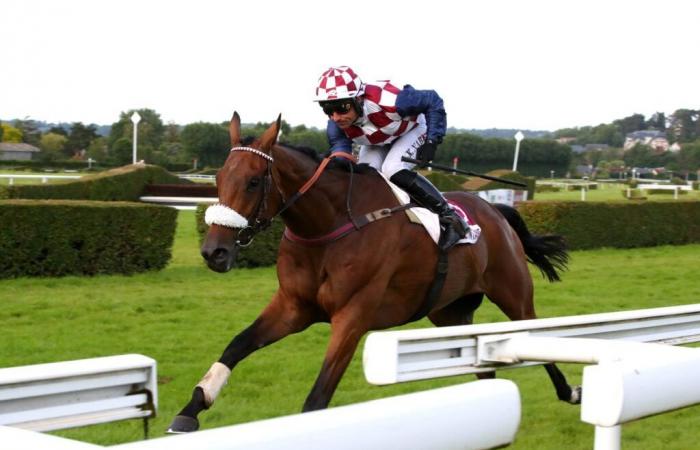 Samedi à Auteuil – Quinté+ Bonus de Régularité avec Fiston de Bécon